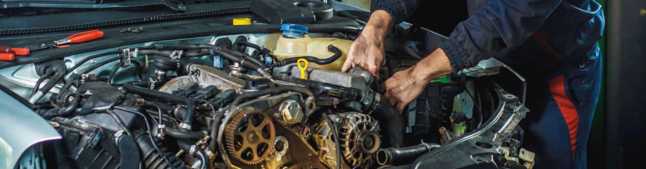 AutoOfficina Pizzola